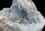 Celestine (Celestite) Geode - Sparkling Blue Crystals #37091-2
